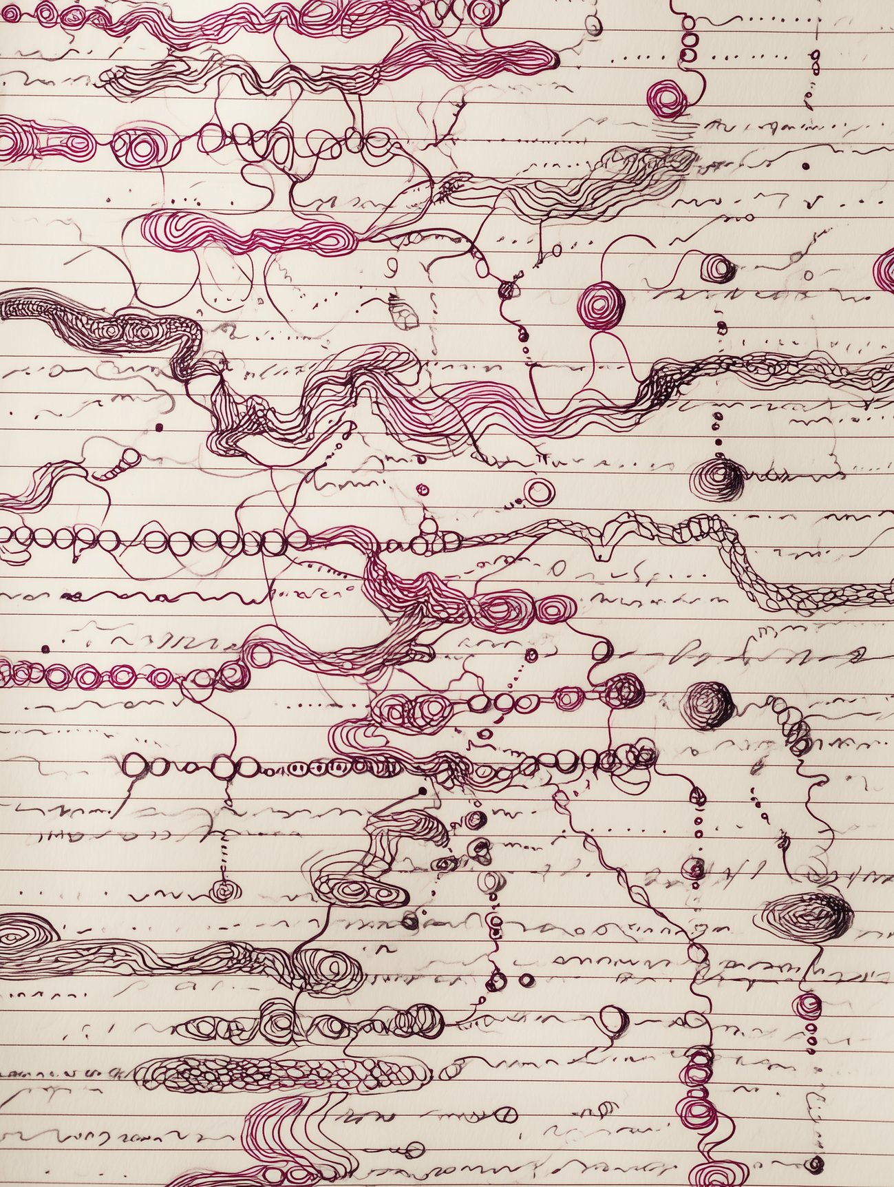 Folio XIV