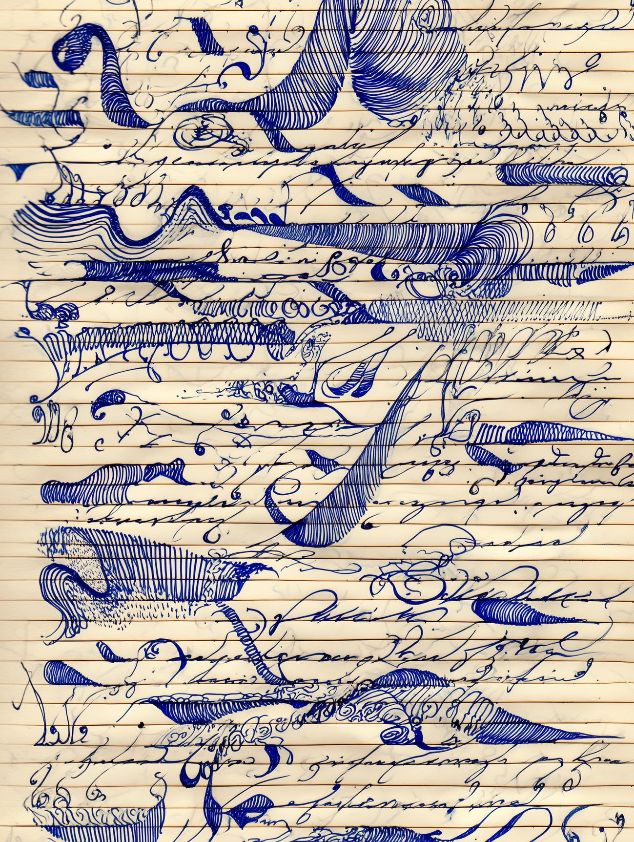Folio XVII
