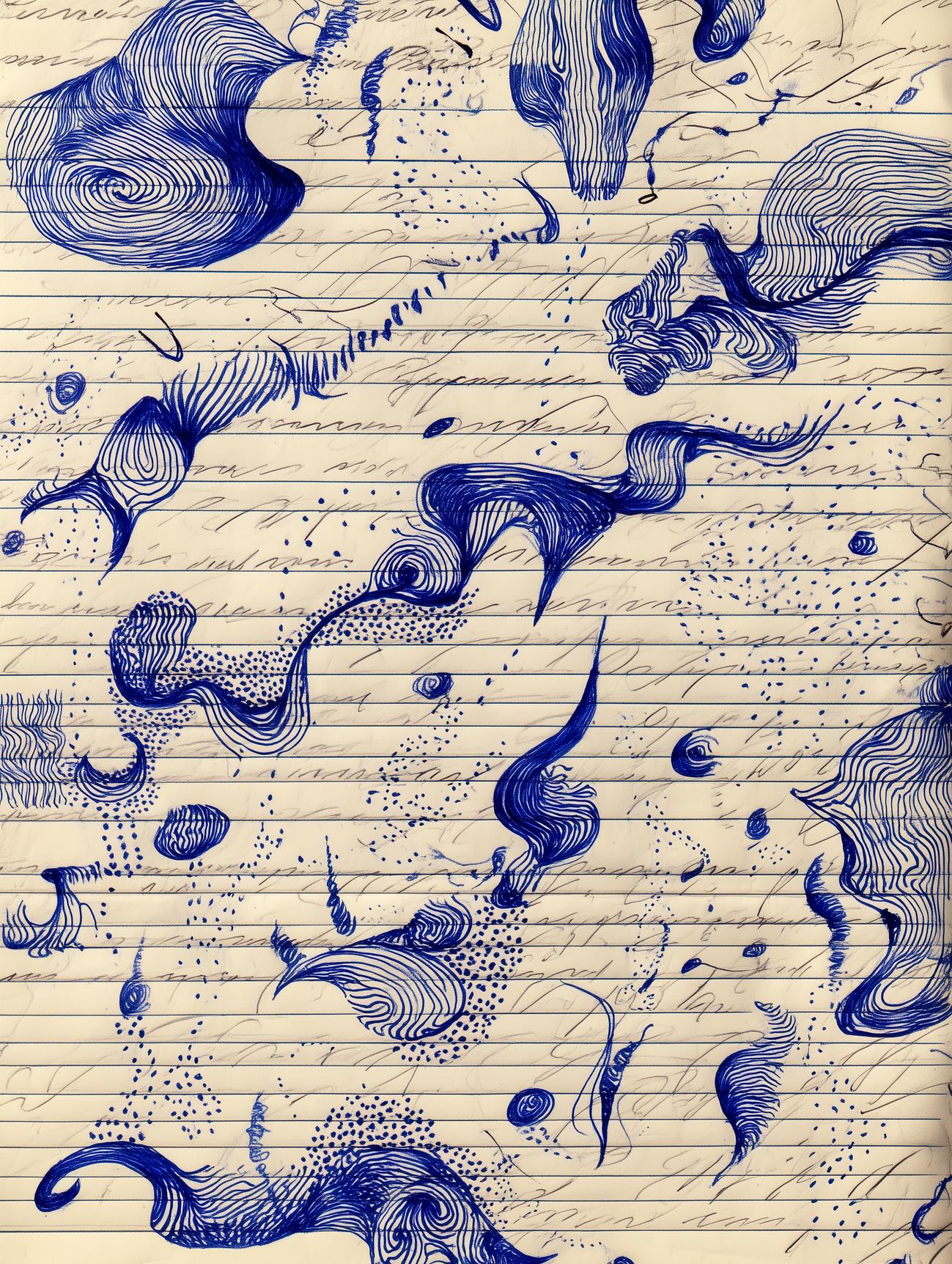 Folio XIX